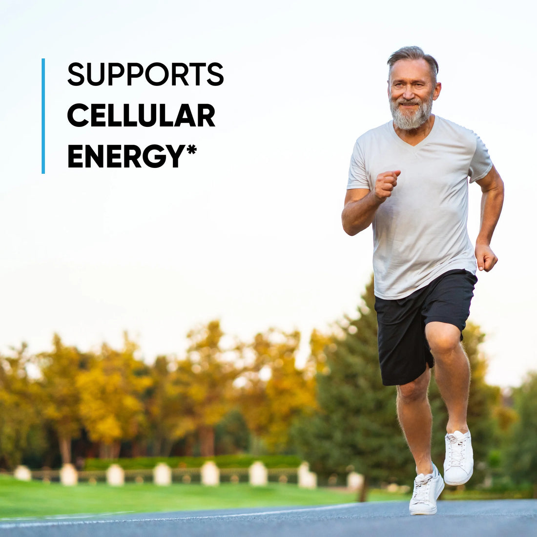 Magnesium Glycinate -  Calm, Sleep & Nervous System Support Ritual 